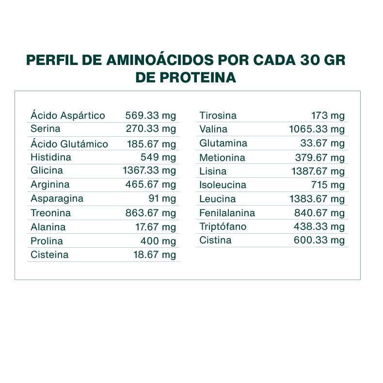 Proteína Vegetal Raw Chocolate 450gr